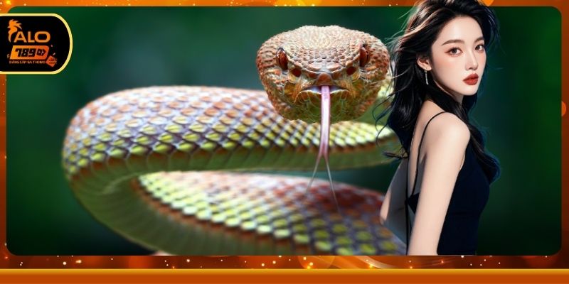 Bảng tổng hợp các con số may mắn từ giấc mơ