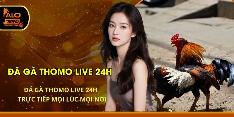 Đá Gà Thomo Live 24h - Trực Tiếp Mọi Lúc Mọi Nơi
