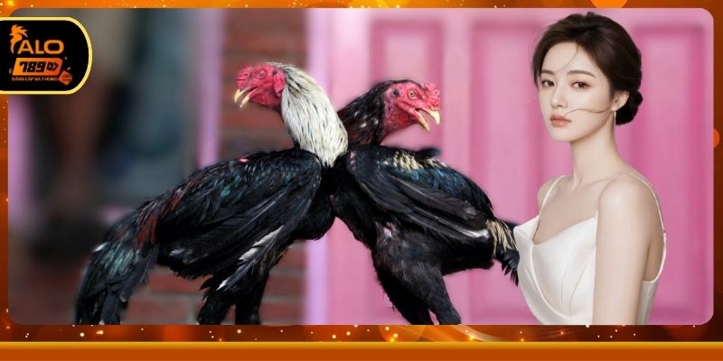 Mẹo hay nâng cao trải nghiệm theo dõi trận đấu