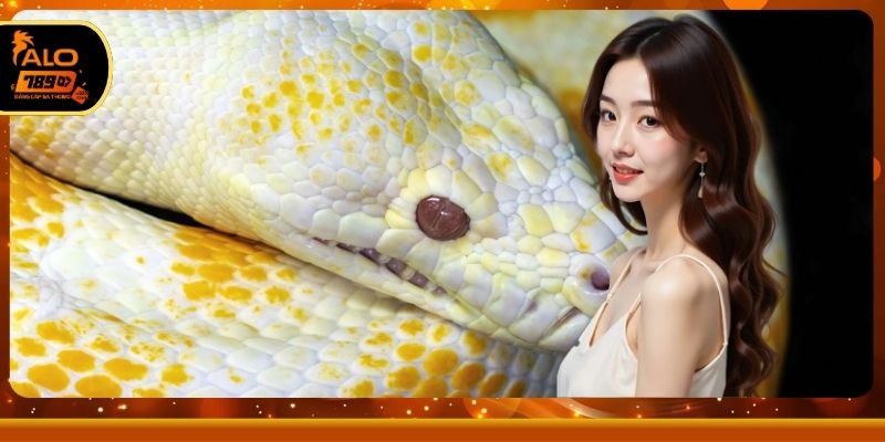 Những kinh nghiệm áp dụng sổ mơ hiệu quả nhất