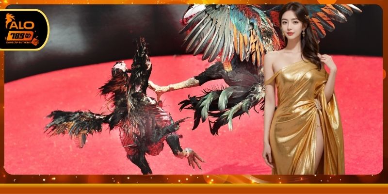 Những tính năng vượt trội tại sảnh đá gà ALO789