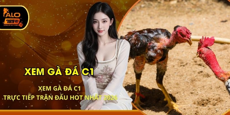 Xem Gà Đá C1 - Trực Tiếp Trận Đấu HOT Nhất 2026